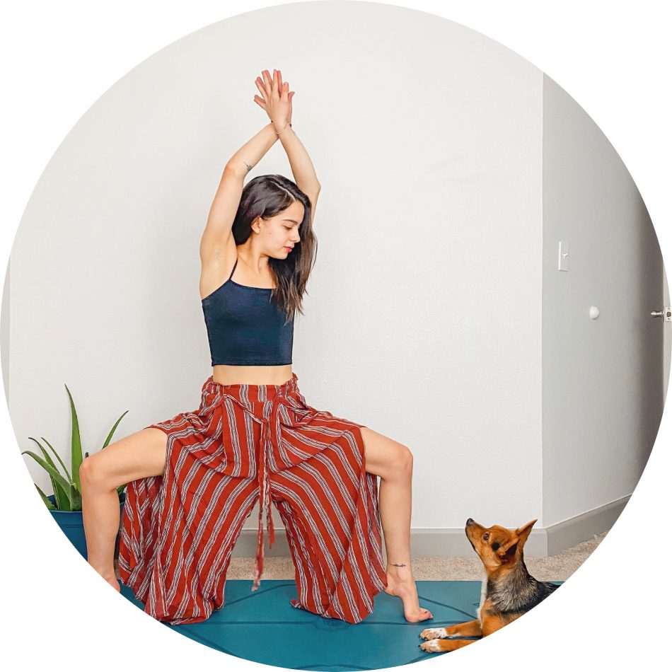 goddess pose yoga on tip toes looking down at dog